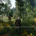 The Witcher 3 Screenshot 2025.02.13 - 05.09.01.57